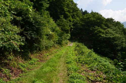 大秋山郷への道