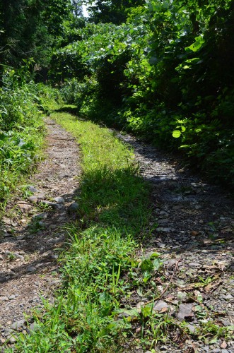 秋山郷 牧之の道