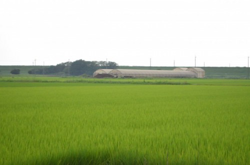 関宿の農村風景