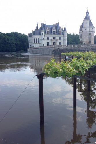 フランス洪水　シュノンソー城ぶどう棚